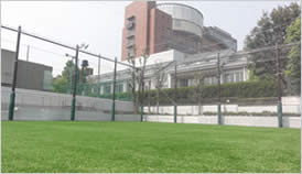 Secondary Field